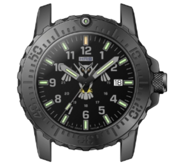 Private label watch with tritium lights