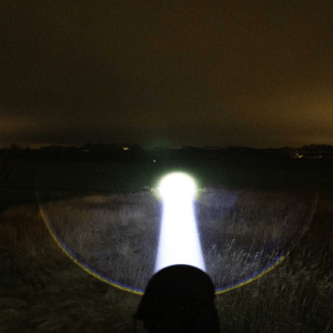 LEP light