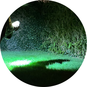 Paralight on leg shining at the ground below